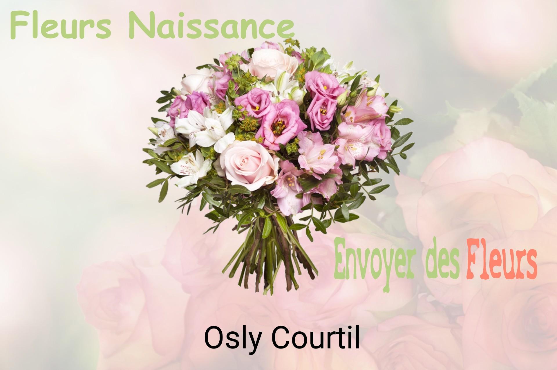 Bouquet de fleurs de naissance livré à Osly-Courtil